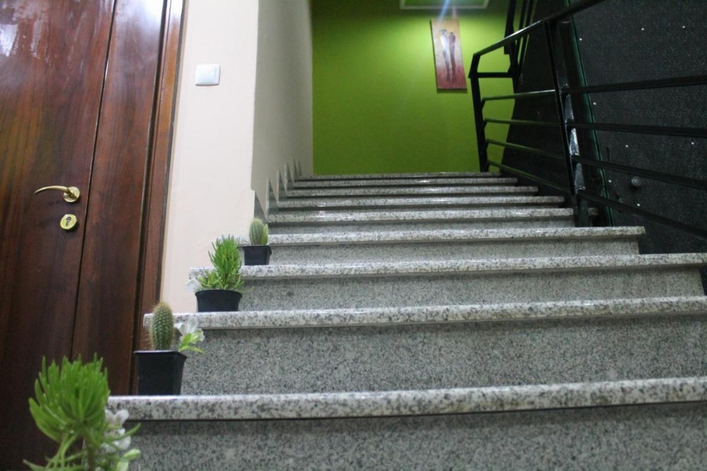 Toronto Addis Hotel Image 41